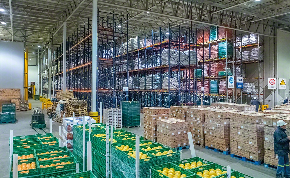The new fresh fruit, vegetable and greens warehouse of Coto in Argentina The new fresh fruit, vegetable and greens warehouse of Coto in Argentina
